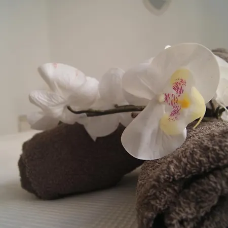 Apartment Cdz - Carmen Coronada *