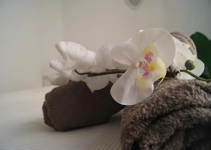 Apartment Cdz - Carmen Coronada *